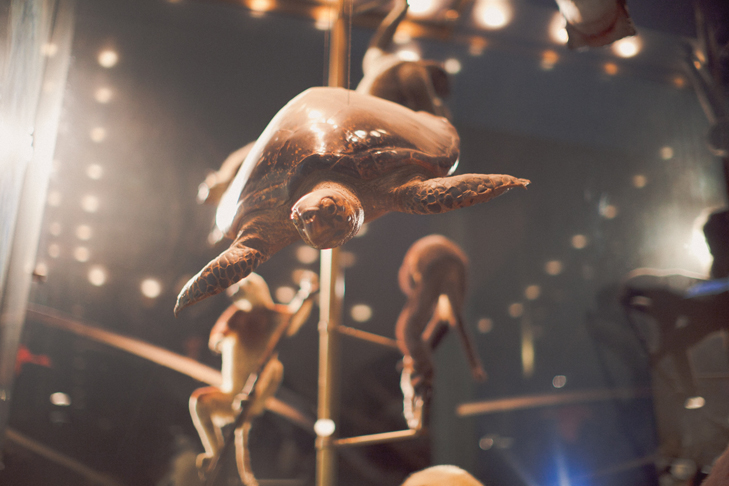Musee histoire naturelle (4)