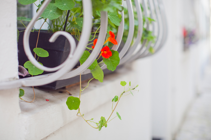 Paris rue des vignoles (12)