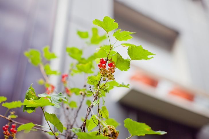 Paris rue des vignoles (9)