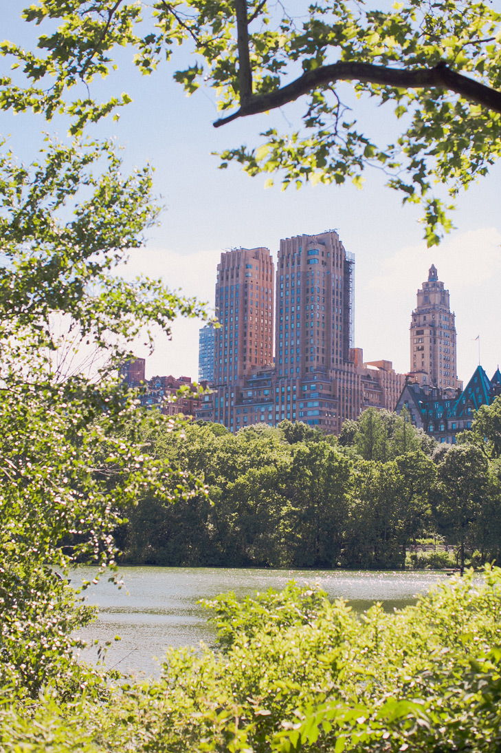 central park (5)
