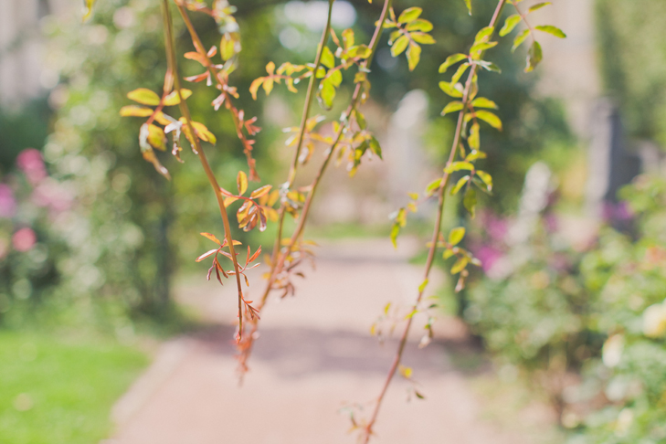 Jardin des plantes (11)