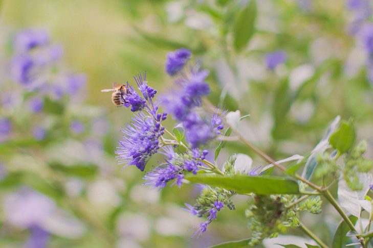 Parc parisen - www.leblogdelamechante.fr (11)