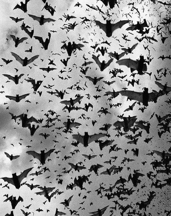 0d9aecf5b4bef51403b4b7170679bab3