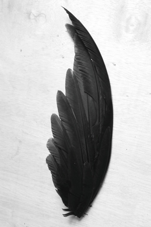 12def0e7c6f717290c604a90b0a27751