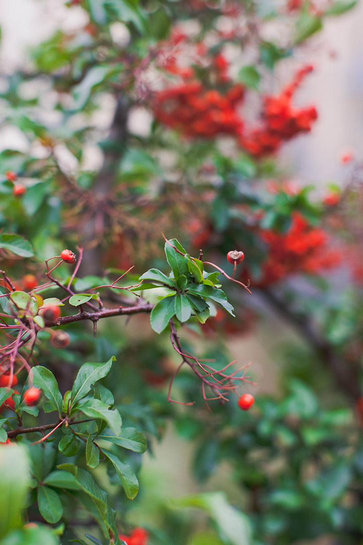 Eleonore bridge (11)