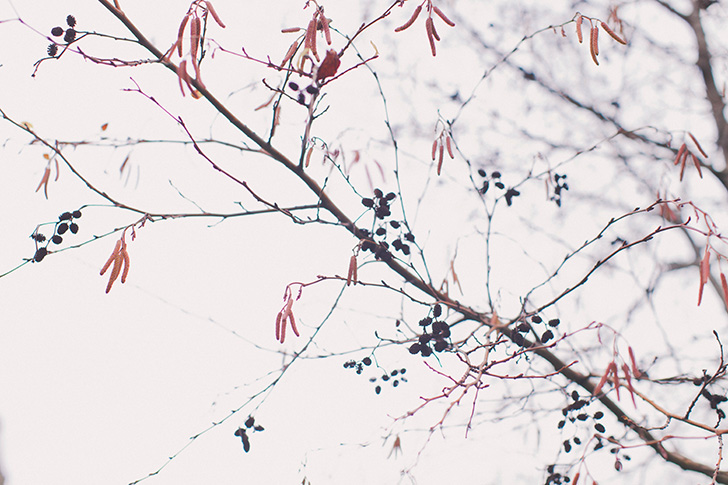 Eleonore bridge (12)