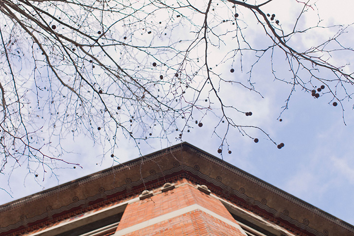 Eleonore bridge (12)