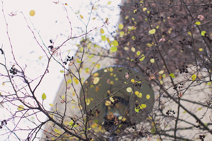 Eleonore bridge (13)