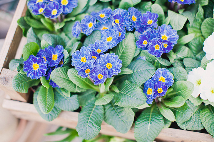 Eleonore Bridge in Soho (4)