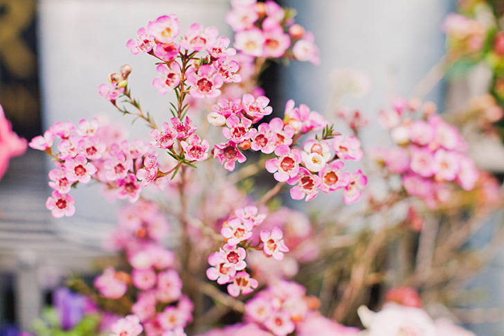 Eleonore Bridge in Soho (6)