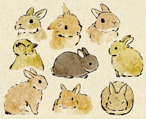 Bunnies-(10)
