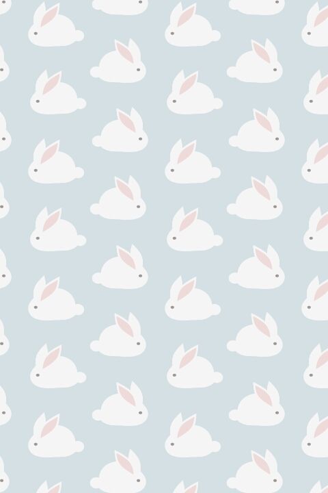 Bunnies (5)