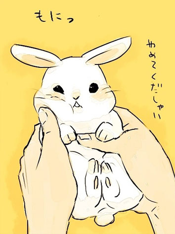 Bunnies (8)
