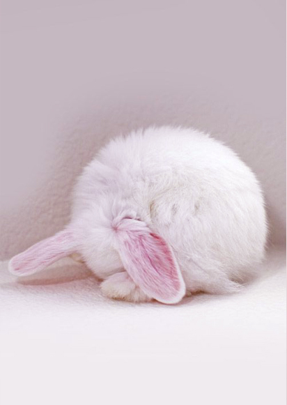 af63b911eb9fc1a076c9ab159cf43979