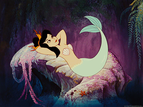 b019514fe81953a0cb42e859fed2c0e0