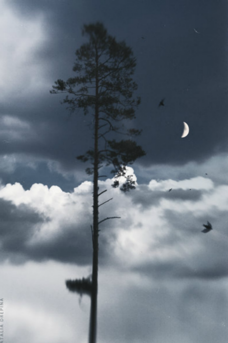 Natalia-drepina-00011