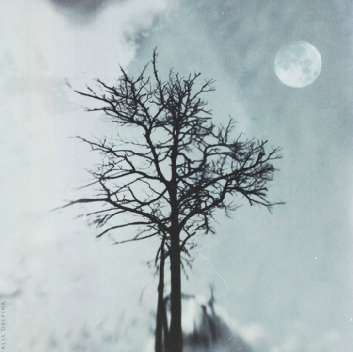 Natalia-drepina-00012