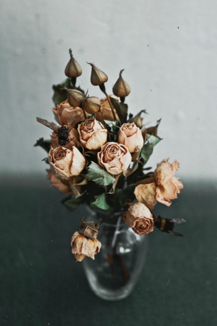 Natalia-drepina-00015