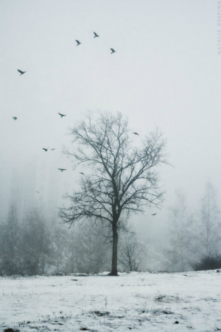 Natalia-drepina-00017