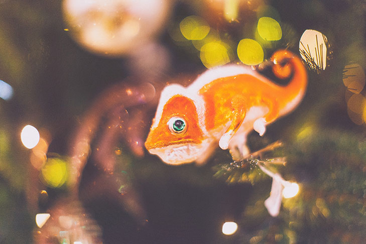 decoration-noel-bon-marche-00027