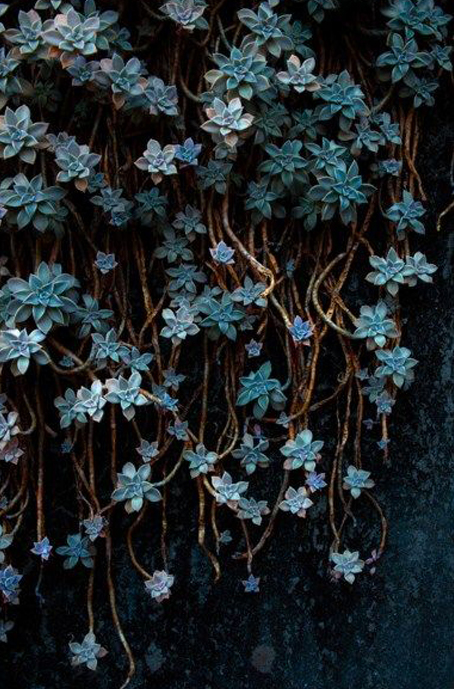 Fairy-tale-00007