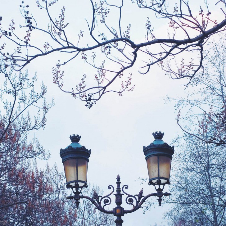 Fairy-tale-00020