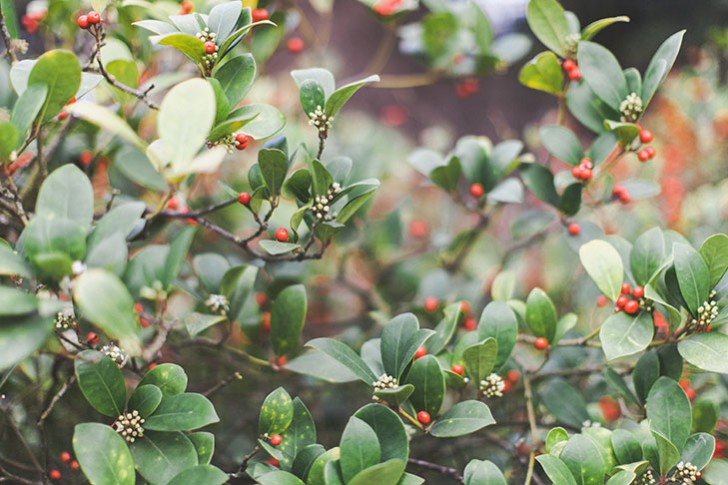 Cheveux violets bleus-30