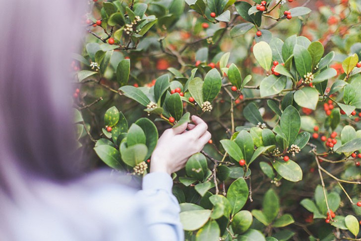 Cheveux violets bleus-32
