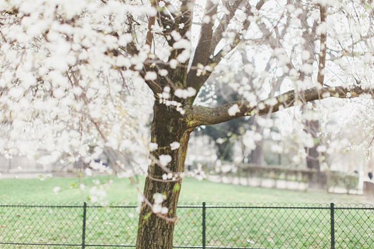 Cheveux violets bleus-56