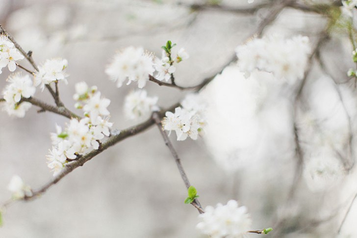 Cheveux violets bleus-66