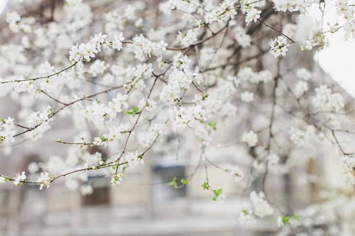 Cheveux violets bleus-68