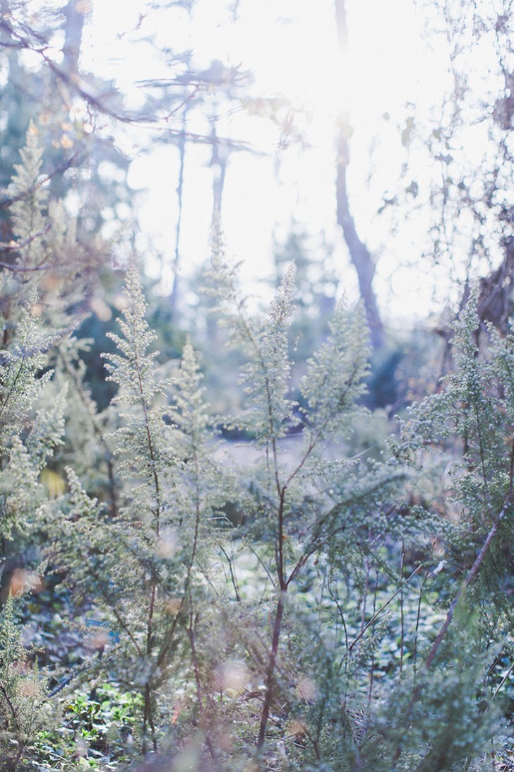 Parc floral de Vincennes-28