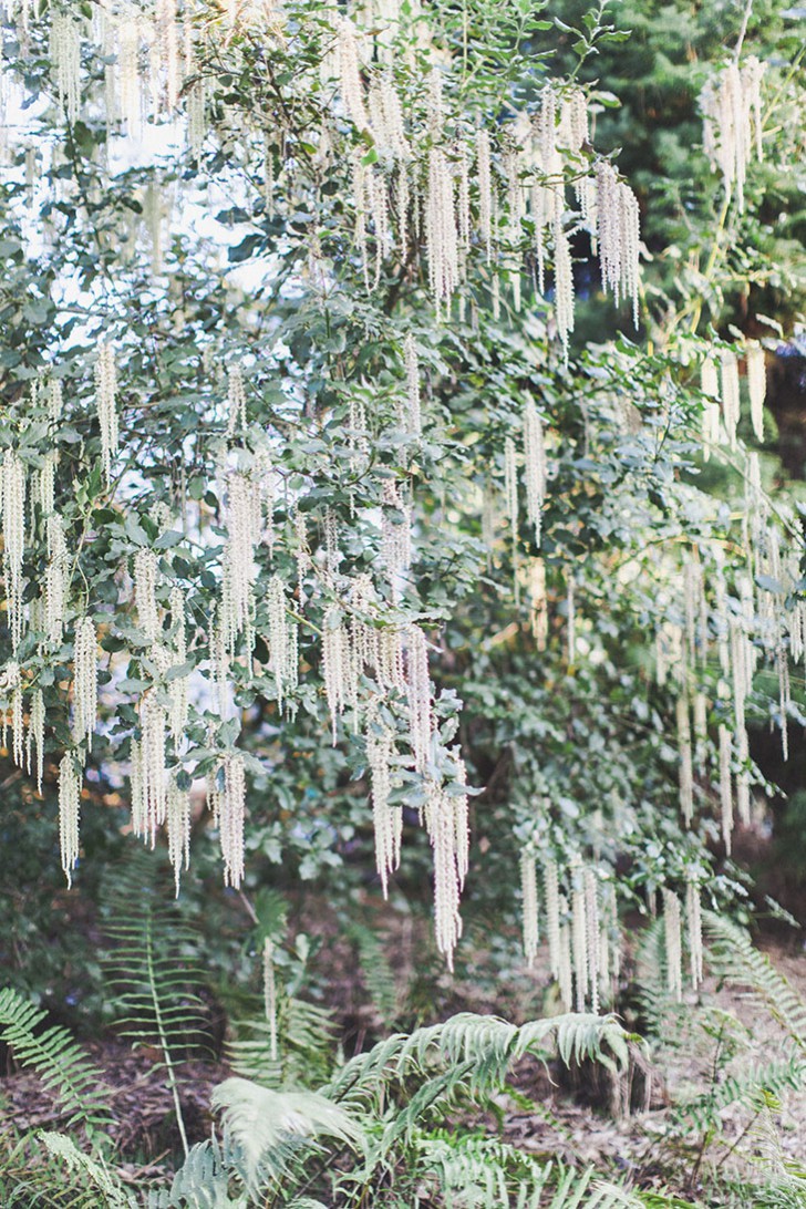 Parc floral de Vincennes-32