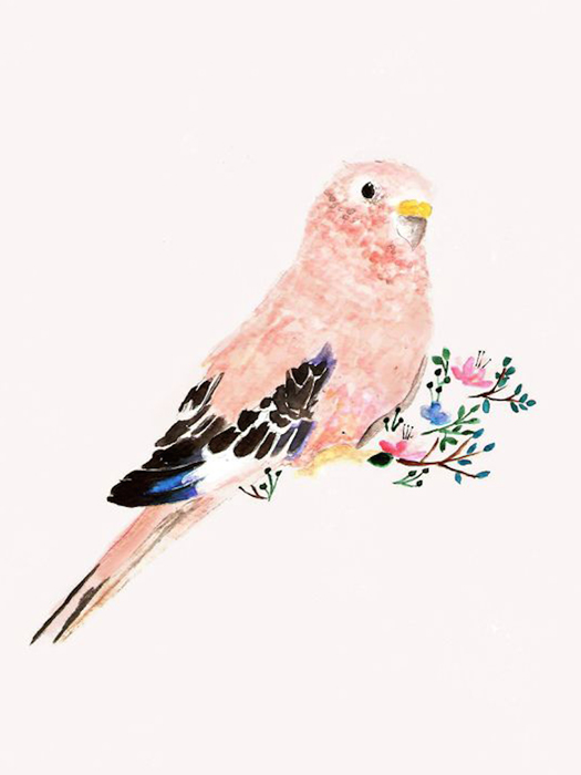 Pink-00003