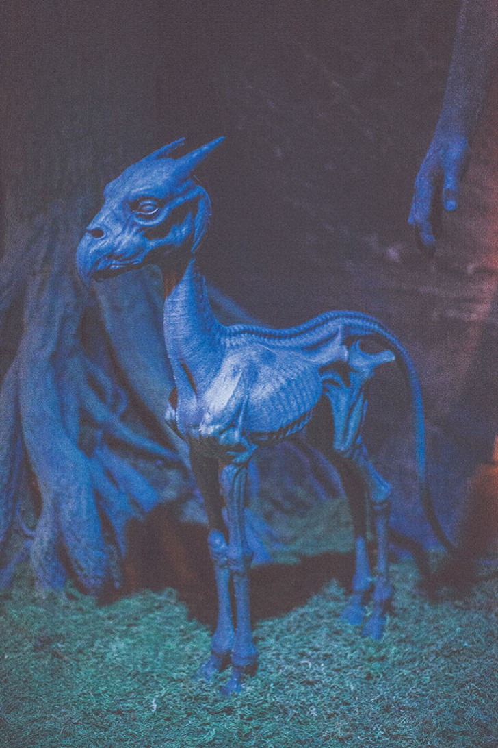 Harry Potter-36