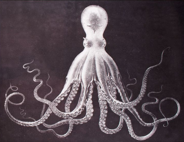 614f33b45949c3131c4c901a98b330c9