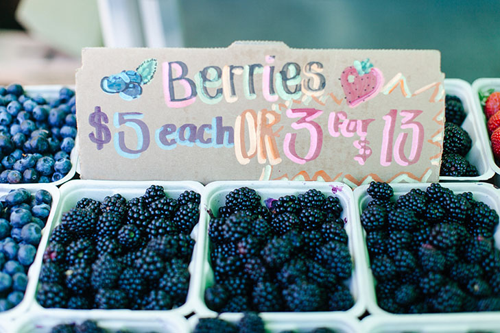 Vancouver Stanley Park-29