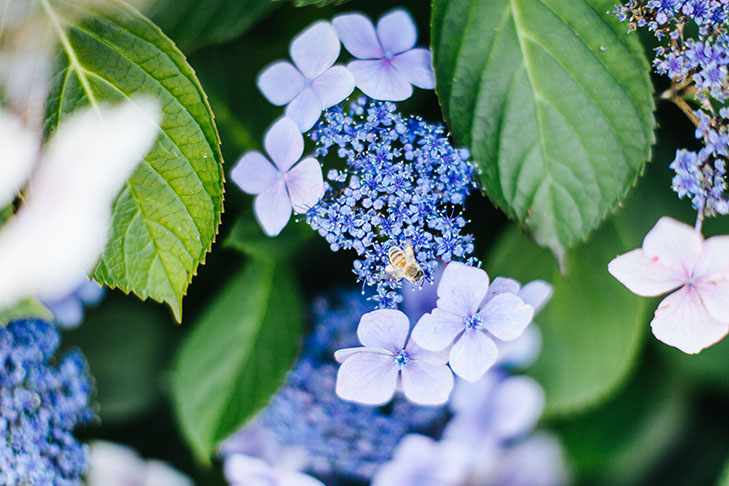 Vancouver Stanley Park-39