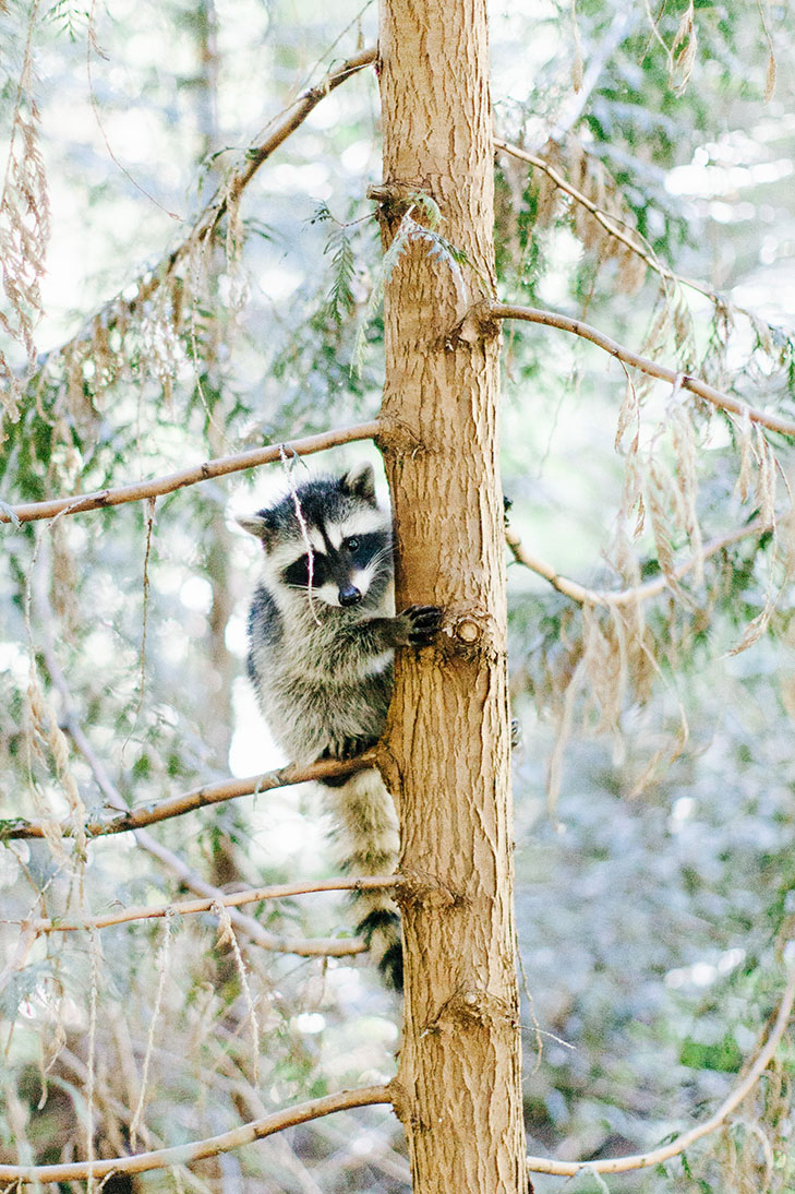 Vancouver Stanley Park-40