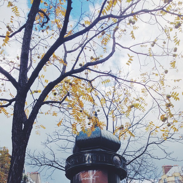 10802393_808323572547665_1521007399_n