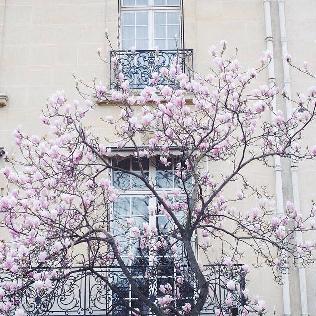 11116617_873171722739046_1928018835_n