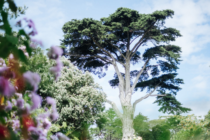 Botanical-garden00001