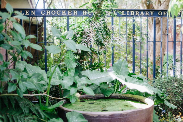 Botanical-garden00005