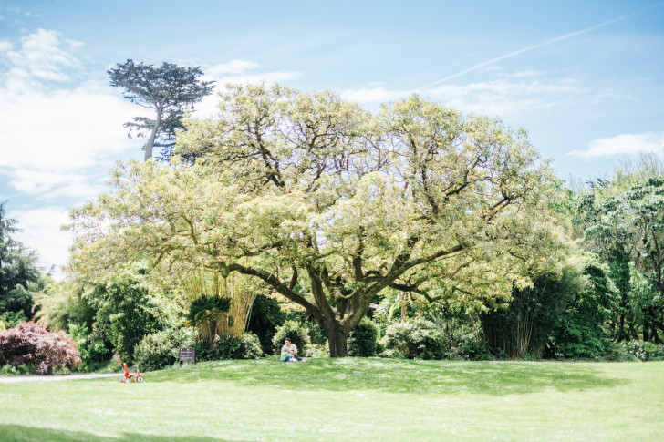 Botanical-garden00021