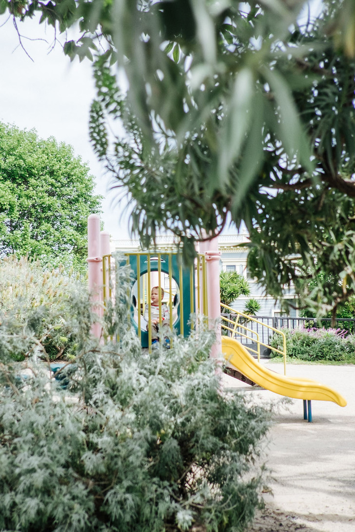 Duboce00005