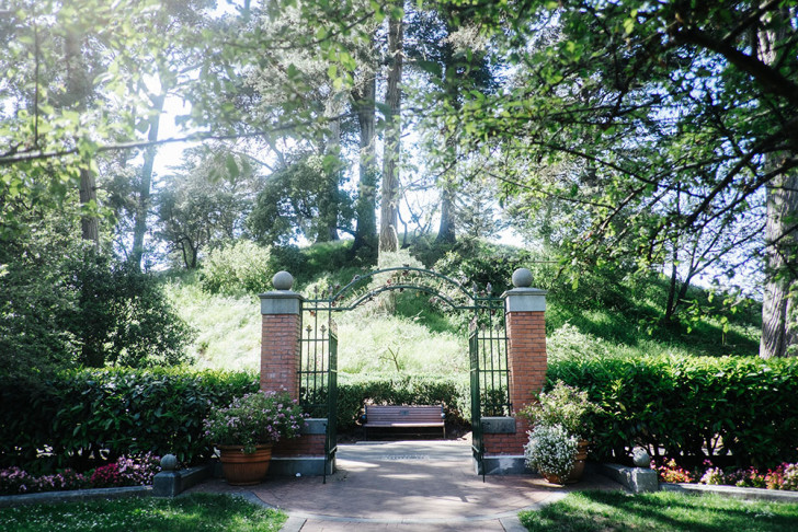 Golden-gate-park-00003