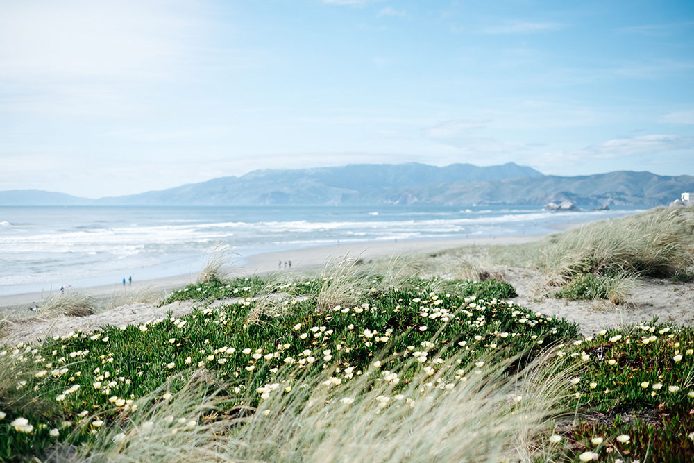 Ocean-beach-00001