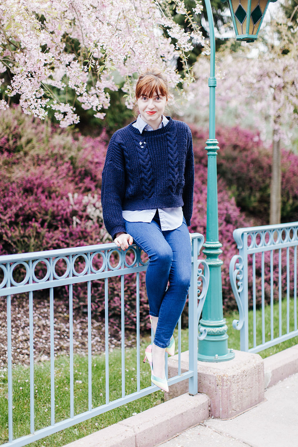 Disneyland spring 2016-11