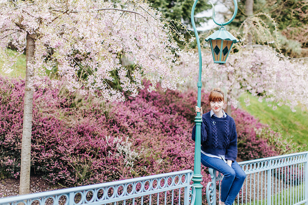 Disneyland spring 2016-16