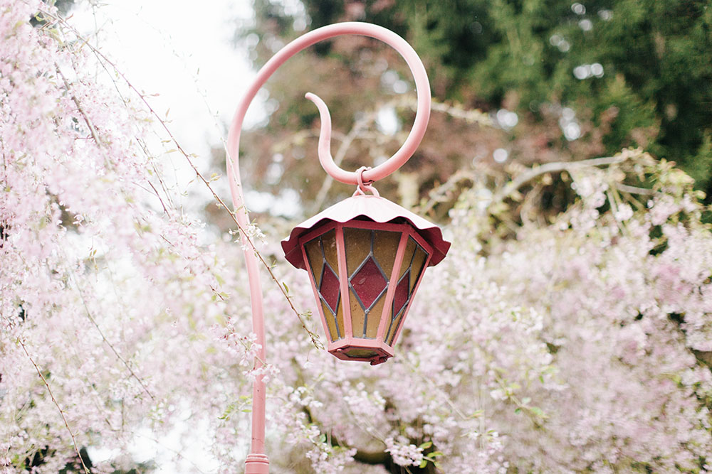 Disneyland spring 2016-24